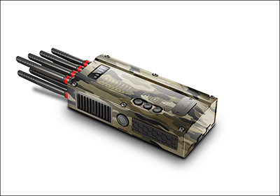 type-1 image